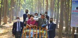 उत्तराखंड-जंगल सफारी के शौकीनों के लिए खुशखबरी,खटीमा में सुरई ईकोटूरिज्म जोन में हुई जंगल सफारी की शुरुआत