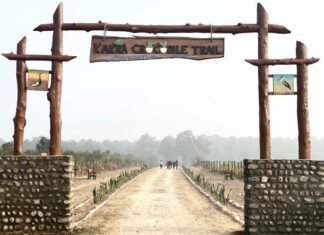 खटीमा को आज ऐतिहासिक सौगात देंगे सीएम धामी’सुरई ईकोटूरिज्म जोन’ में जंगल सफारी और ’ककरा क्रोकोडाइल ट्रेल’ का करेंगे लोकार्पण