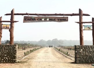 उत्तराखंड-प्राकृतिक खूबसूरती और वन्यजीव रोमांच के शौकीनों के लिए अच्छी खबर,खटीमा में हुई क्रोकोडाइल सफारी की शुरुआत