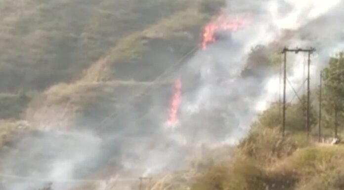 उत्तराखंड के जंगलों में भीषण आग,कांग्रेस ने कहा धधकते जंगल सरकार की नाकामी को कर रहे उजागर