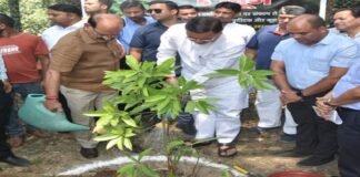 विश्व पर्यावरण दिवस पर सीएम धामी ने किया वृक्षारोपण कहा- शहरों के स्वच्छता अभियान के तहत देहरादून से की जायेगी शुरूआत