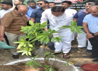 विश्व पर्यावरण दिवस पर सीएम धामी ने किया वृक्षारोपण कहा- शहरों के स्वच्छता अभियान के तहत देहरादून से की जायेगी शुरूआत