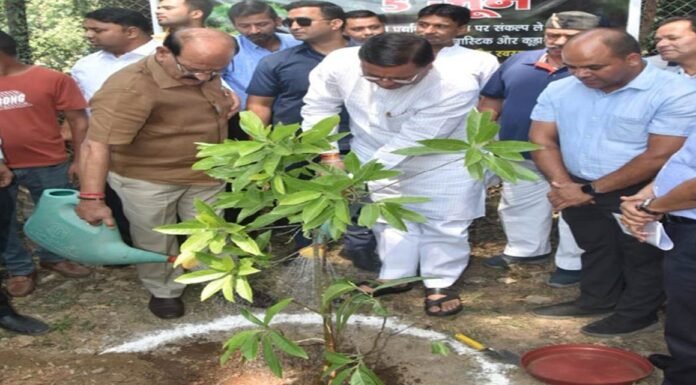 विश्व पर्यावरण दिवस पर सीएम धामी ने किया वृक्षारोपण कहा- शहरों के स्वच्छता अभियान के तहत देहरादून से की जायेगी शुरूआत