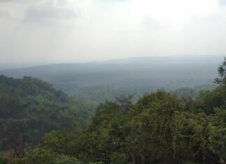 उत्तराखंड में मौसम विभाग ने दी भारी बारिश की चेतावनी,सीएम धामी ने जिलाधिकारियों को दिए सतर्क रहने के निर्देश
