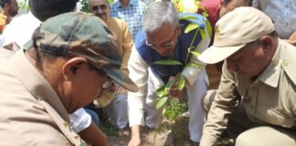 विश्व पर्यावरण दिवस पर पूर्व मुख्यमंत्री त्रिवेंद्र रावत ने कैरवान गांव में रोपा पौधा कहा-वृक्षारोपण के लिए हरेक व्यक्ति को आगे आने की जरूरत