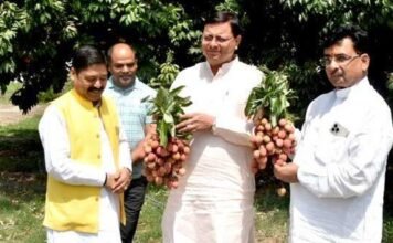 उत्तराखंड-सीएम पुष्कर धामी ने की राजकीय परिसरों आवासों के साथ ही सार्वजनिक स्थलों व पार्कों में लीची सहित अन्य फलदार पेड़ लगाने की अपील