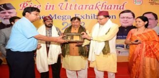 आज़ादी के अमृत महोत्सव के अवसर पर आयोजित ‘राइज़ इन उत्तराखण्ड’ कार्यक्रम में शामिल हुए सीएम धामी कहा-हमारी सरकार “विकल्प रहित संकल्प” के मूल मंत्र पर कर रही काम