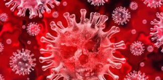 सावधान-उत्तराखंड में फिर डराने लगे है कोरोना के बढ़ते आंकडे,मंकीपॉक्स को लेकर स्वास्थ्य विभाग ने जारी की एसओपी