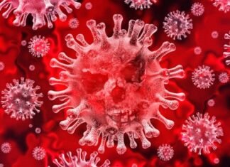 सावधान-उत्तराखंड में फिर डराने लगे है कोरोना के बढ़ते आंकडे,मंकीपॉक्स को लेकर स्वास्थ्य विभाग ने जारी की एसओपी