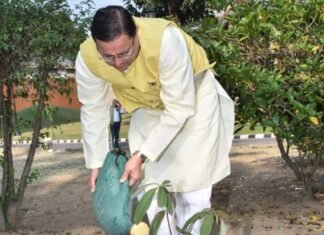 उत्तराखंड-अब सीएम आवास में भी खिलेगा बुरांश,सीएम धामी ने मुख्यमंत्री आवास परिसर में राजकीय वृक्ष का किया रोपण