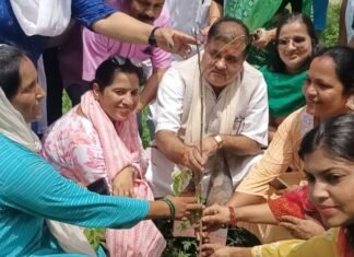 Uttarakhand:-लोक पर्व हरेला पर भाजपा ने किया बूथ स्तर पर वृक्षारोपण