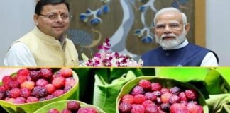 प्रधानमंत्री नरेंद्र मोदी को भाए उत्तराखंड के काफल,कहा रसीले और दिव्य मौसमी फल है काफल