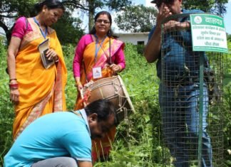 Lok Parv Harela:-हरेला में धाद ने बालवन के साथ लिया 100 वृक्षों का संकल्प,हाईस्कूल बनियावाल में समाज के सहयोग से विकसित होगा बालवन