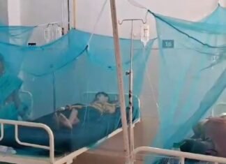 Dengue Attack:-उत्तराखंड में डेंगू का कहर,कोटद्वार में एक और व्यक्ति की मौत,स्वास्थ्य सचिव ने किया बेस अस्पताल का निरीक्षण,राज्य में लगातार बढ़ रही है डेंगू मरीजों की संख्या