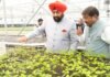 Dehradun:-राज्यपाल लेफ्टिनेंट जनरल गुरमीत सिंह ने सगंध पौधा केंद्र सेंटर फॉर एरोमैटिक प्लांट्स,कैप सेलाकुई,का किया भ्रमण