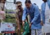Chamoli:-मुख्यमंत्री पुष्कर धामी ने गैरसैंण में एक पेड़ मां के नाम अभियान के तहत किया वृक्षारोपण