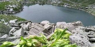 Uttarkashi:-सरनौल सुतुड़ी-सरूताल ट्रैक के लिए 74.20 लाख स्वीकृत,40 लाख रिलीज,भाजपा मीडिया प्रभारी चौहान ने जताया सीएम धामी का आभार