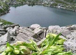 Uttarkashi:-सरनौल सुतुड़ी-सरूताल ट्रैक के लिए 74.20 लाख स्वीकृत,40 लाख रिलीज,भाजपा मीडिया प्रभारी चौहान ने जताया सीएम धामी का आभार