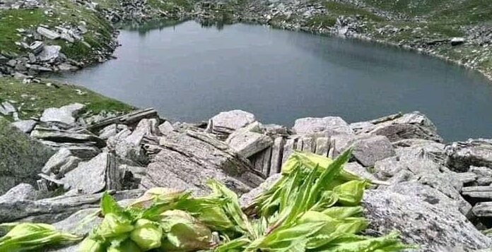 Uttarkashi:-सरनौल सुतुड़ी-सरूताल ट्रैक के लिए 74.20 लाख स्वीकृत,40 लाख रिलीज,भाजपा मीडिया प्रभारी चौहान ने जताया सीएम धामी का आभार