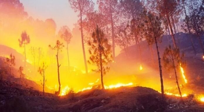 Uttarakhand:-वनाग्नि सत्र से पहले उत्तराखंड में तैयार होंगी 7 नई पिरुल ब्रिकेट्स यूनिट