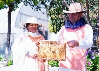 Dehradun:-मुख्यमंत्री आवास परिसर में किया गया शहद निष्कासन कार्य,पहले चरण में निकाला गया 57 किलोग्राम शहद