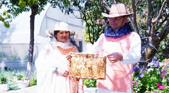 Dehradun:-मुख्यमंत्री आवास परिसर में किया गया शहद निष्कासन कार्य,पहले चरण में निकाला गया 57 किलोग्राम शहद