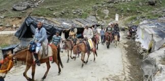 Chardham Yatra 2025:-यात्रा मार्ग पर सेवा देंगे 43 सौ से अधिक घोड़ा-खच्चर संचालक,दोनों धामों के लिए कुल आठ हजार से अधिक घोड़े-खच्चरों का पंजीकरण