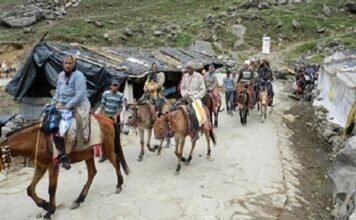 Chardham Yatra 2025:-यात्रा मार्ग पर सेवा देंगे 43 सौ से अधिक घोड़ा-खच्चर संचालक,दोनों धामों के लिए कुल आठ हजार से अधिक घोड़े-खच्चरों का पंजीकरण