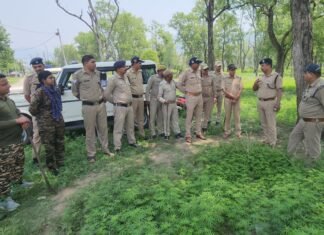 Pauri Garhwal:-पौड़ी पुलिस की बड़ी पहल-समय रहते वन क्षेत्र में उपजी भांग को किया नष्ट,मादक पदार्थों की तस्करी पर लगेगा प्रभावी अंकुश