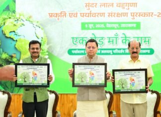 Dehradun:-विश्व पर्यावरण दिवस के पर पर्यावरण के क्षेत्र में सर्वश्रेष्ठ कार्य करने वाले लोगों को सीएम धामी ने किया सम्मानित,स्कूली बच्चों को दिलाई प्लास्टिक मुक्त उत्तराखण्ड की शपथ