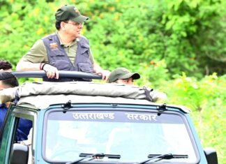 Ramnagar:-कार्बेट नेशनल पार्क में सीएम धामी ने किया जंगल सफारी का अनुभव,‘एक पेड़ माँ के नाम’अभियान के तहत हुआ 1000 से अधिक पौधारोपण