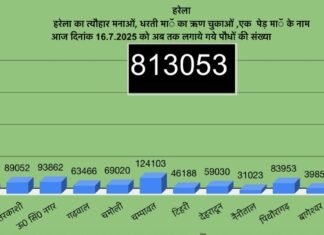 Harela Festival 2025:-उत्तराखंड में हरेला पर्व बना हरित क्रांति का उत्सव,8 लाख 13 हज़ार से अधिक पौधे रोपे गए