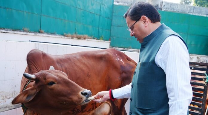 Uttarakhand:-गोवर्धन पूजा के अवसर पर सीएम धामी ने की गौ माता की पूजा-अर्चना कर की प्रदेश की खुशहाली,समृद्धि और जन कल्याण की कामना