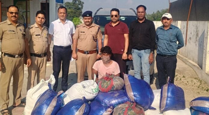 Dehradun:-उत्तराखंड सरकार की मिलावटखोरों पर सख्त रणनीति,सीमाओं पर बढ़ी चौकसी,देहरादून हरिद्वार,उधमसिंहनगर,और नैनीताल में रखी जा रही है विशेष निगरानी