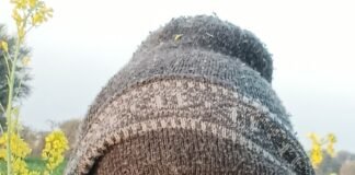 कवि निहाल सिंह की कविताएं