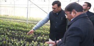 Dehradun:-मुख्य सचिव आनन्द बर्द्धन ने सेलाकुई में स्थित सगन्ध पौधा केंद्र का किया भ्रमण