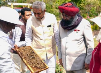 Dehradun:-लोक भवन में मधुमक्खी पालन से 41 किलोग्राम एवं मुख्यमंत्री आवास परिसर में निकाला गया 60 किलोग्राम शहद