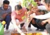Udham Singh Nagar:-सीएम धामी ने एक पेड़ मां के नाम अभियान के तहत पौधरोपण एवं स्वच्छता का संदेश