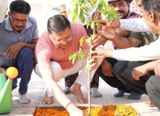 Udham Singh Nagar:-सीएम धामी ने एक पेड़ मां के नाम अभियान के तहत पौधरोपण एवं स्वच्छता का संदेश