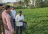 Uttarakhand:-बाजपुर में हुई भीषण ओलावृष्टि,सूचना मिलते ही प्रभावित किसानों के बीच पहुंचे मुख्यमंत्री पुष्कर धामी